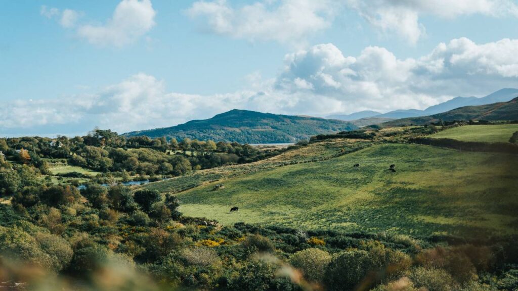 Green meadow surrounded by lush hills in Ireland