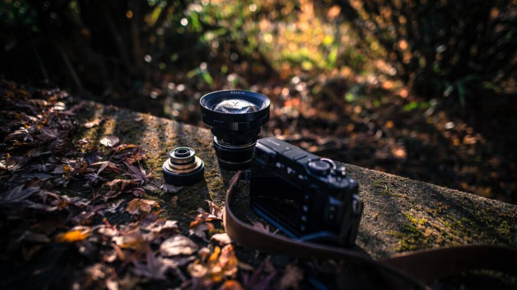 A camera and its lens surrounded by brown autumn leaves