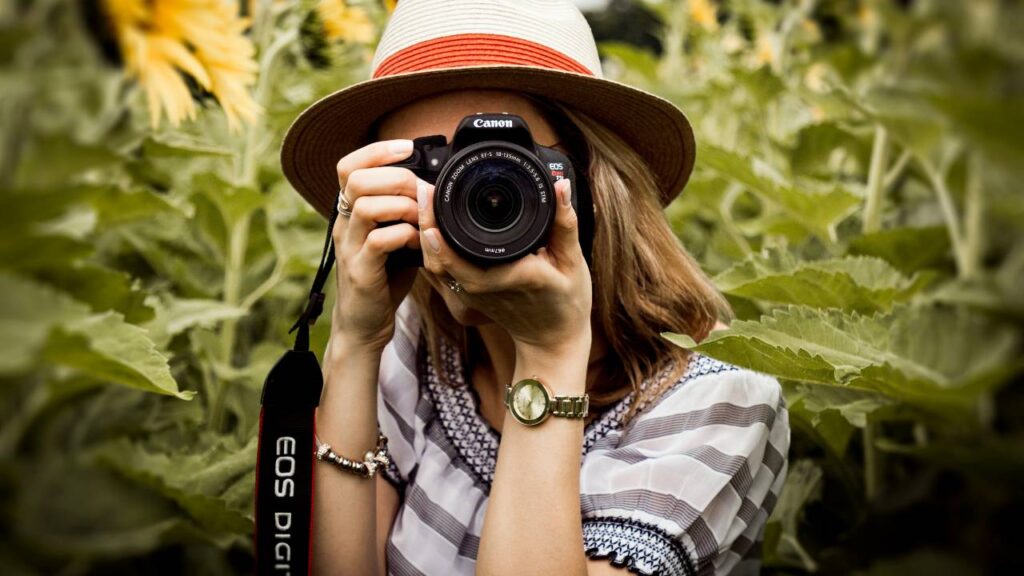 A girl photographer using her camera in a field of sunflowers